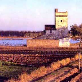 La albufera
