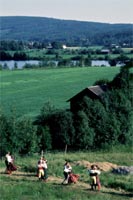 Hambo dancing in H�lsingland